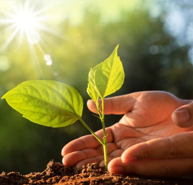 Jiangsu Shixin Adhesive Tape Products Co., Ltd.