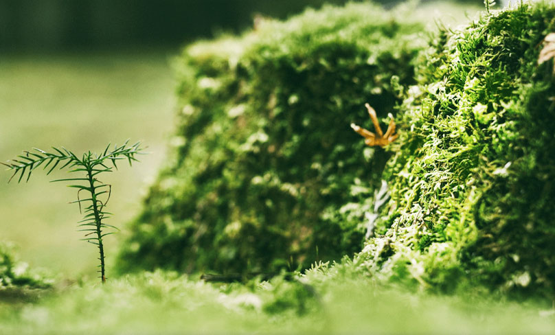 Jiangsu Shixin Adhesive Tape Products Co., Ltd.